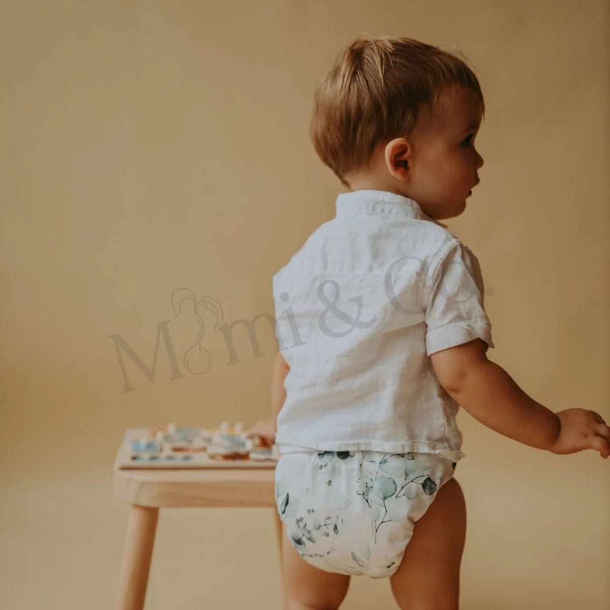 Foille 2.0 Modern Cloth Nappy - Mimi & Co