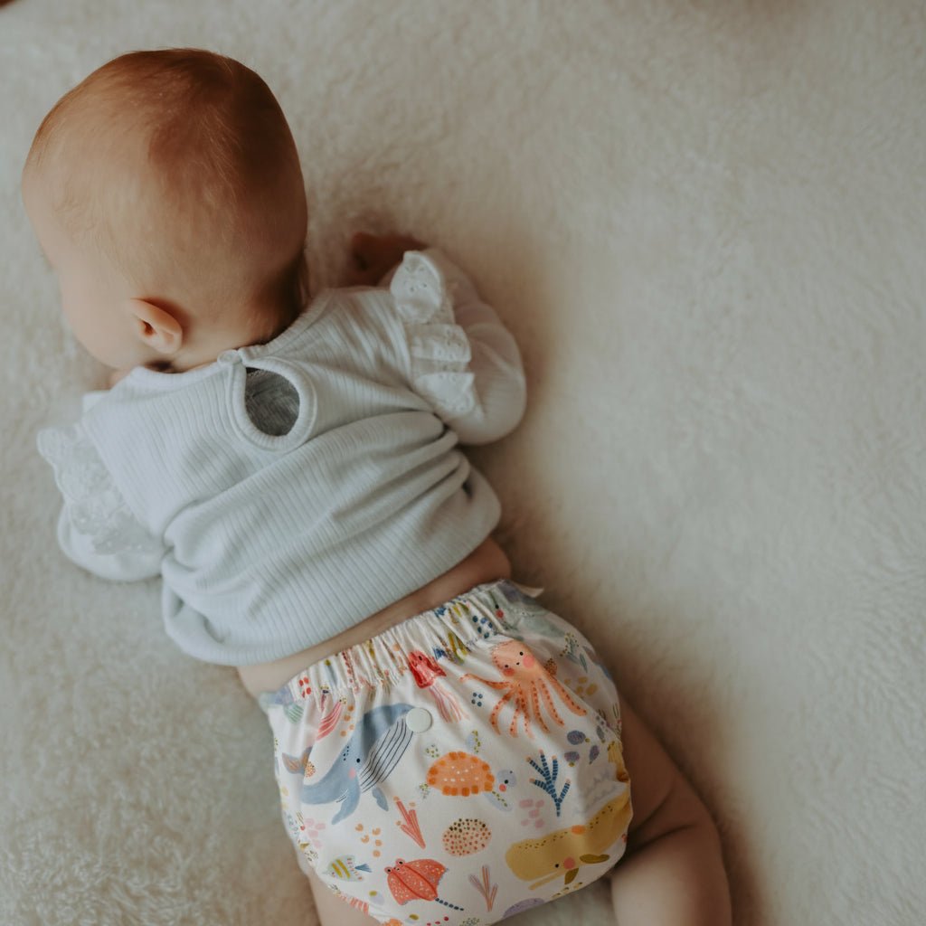 Jelly 2.0 Modern Cloth Nappy - Mimi & Co