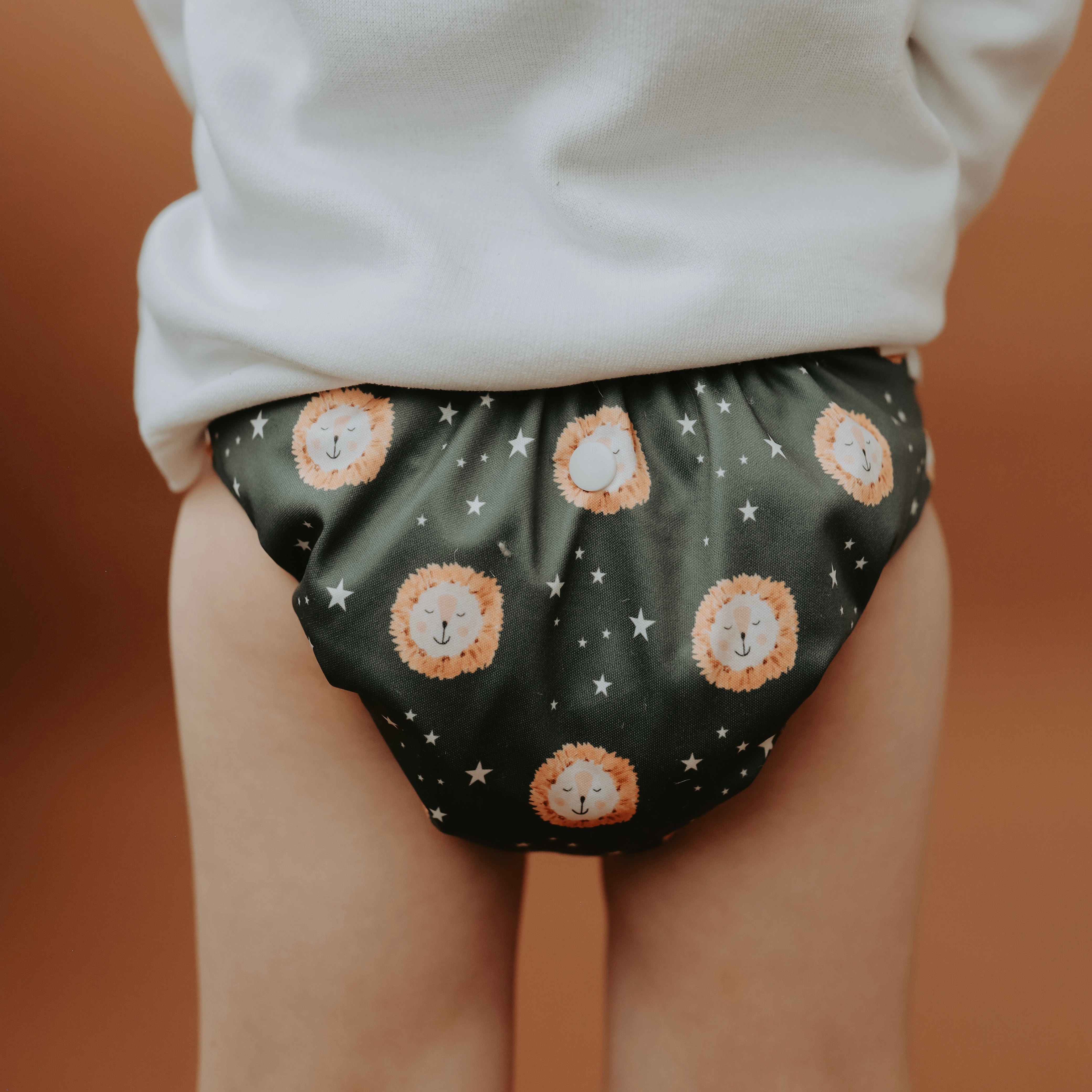 Lion 2.0 Modern Cloth Nappy