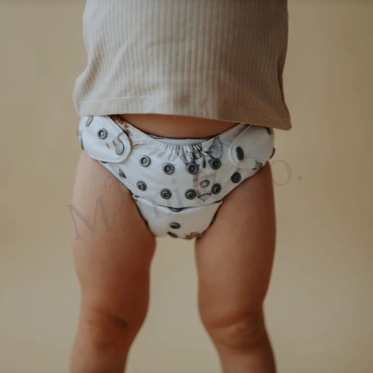 Astro 2.0 Modern Cloth Nappy - Mimi & Co