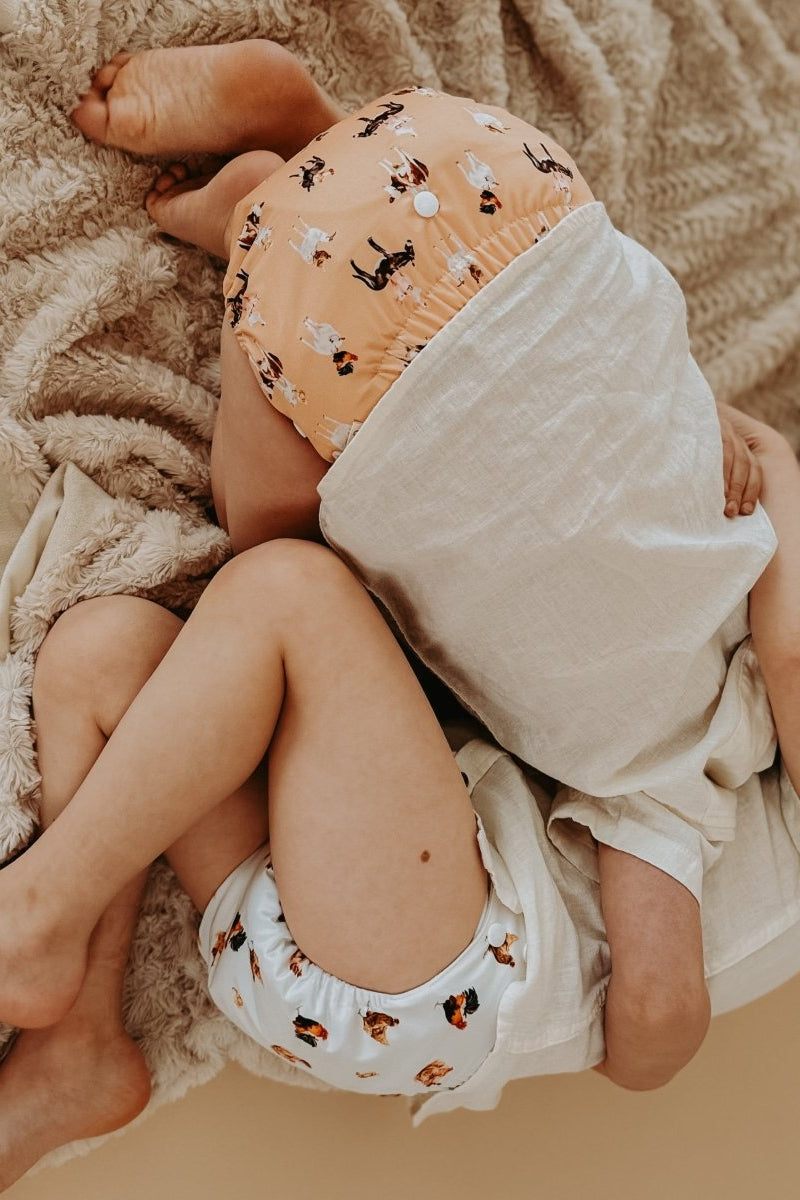 Barnyard Buddies 2.0 Modern Cloth Nappy - Mimi & Co