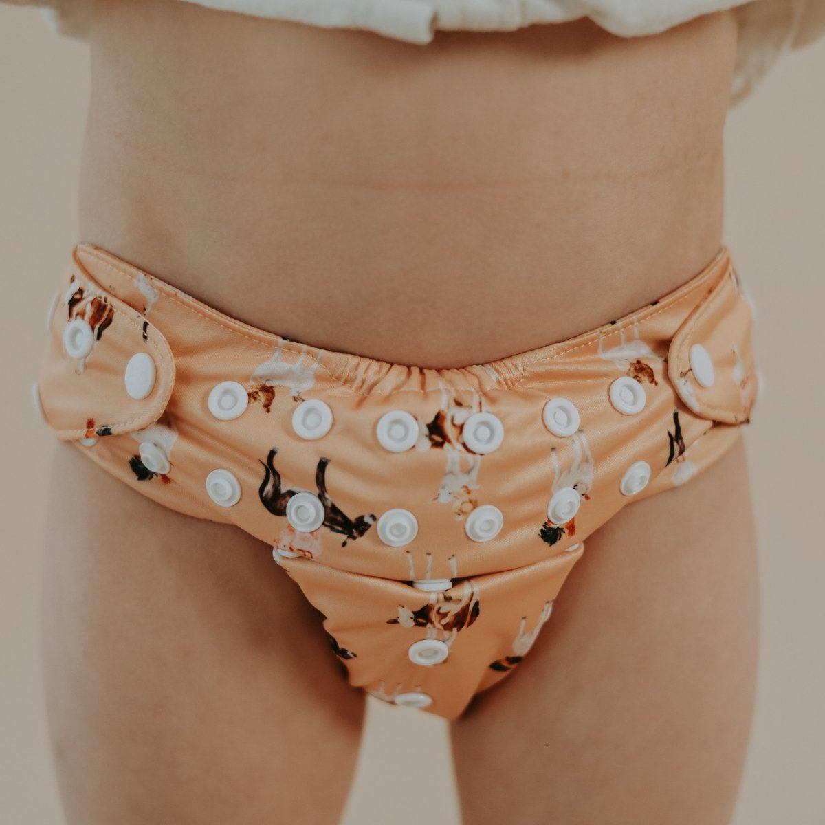 Barnyard Buddies 2.0 Modern Cloth Nappy [Ship Oct 5 - 10] - Mimi & Co