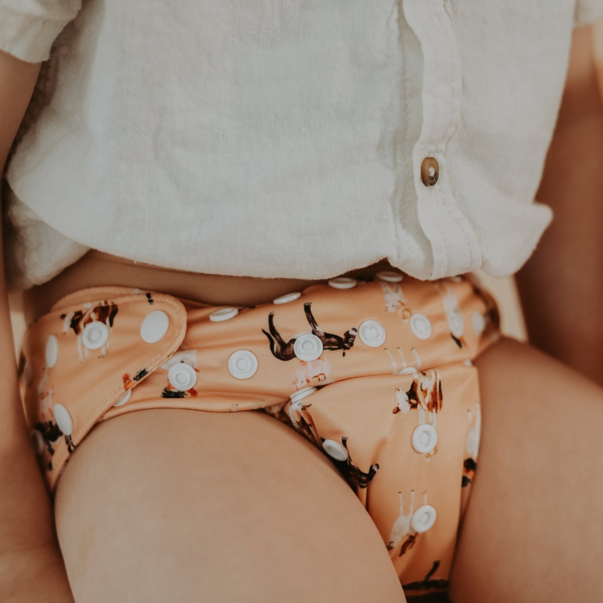 Barnyard Buddies 2.0 Modern Cloth Nappy [Ship Oct 5 - 10] - Mimi & Co