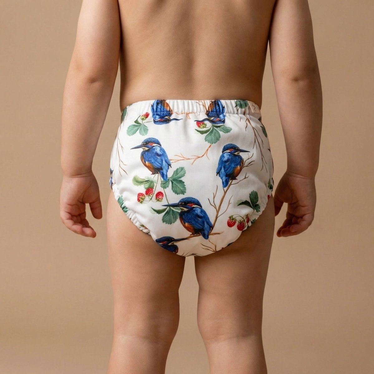 Kingfisher 2.0 Modern Cloth Nappy - Mimi & Co