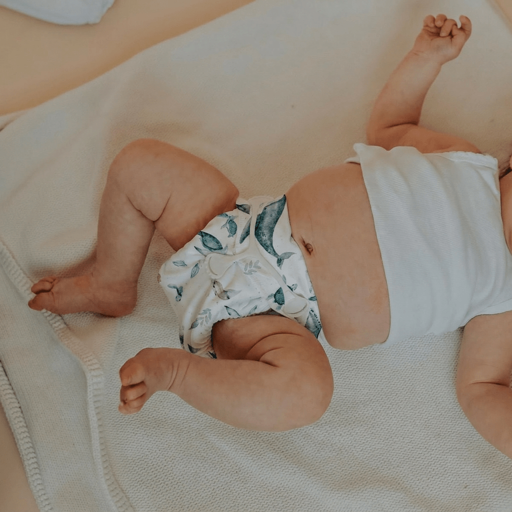 One - Size Stretchy Cotton Preflat | Whales - Mimi & Co