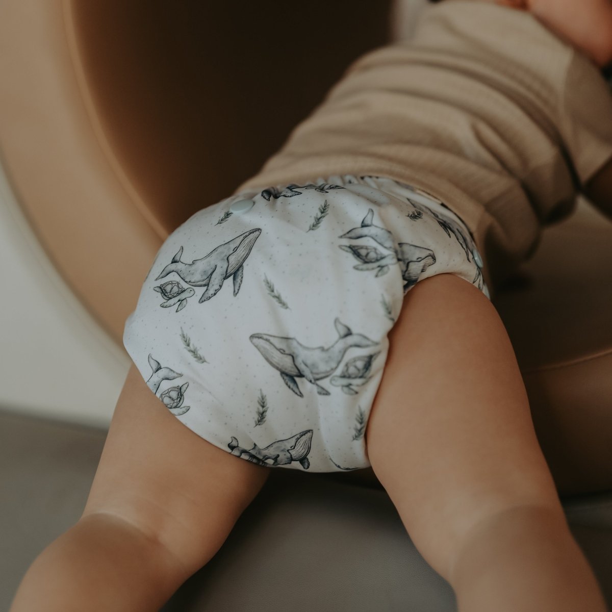 Whales 2.0 Mimi® Cloth Nappy - Mimi & Co